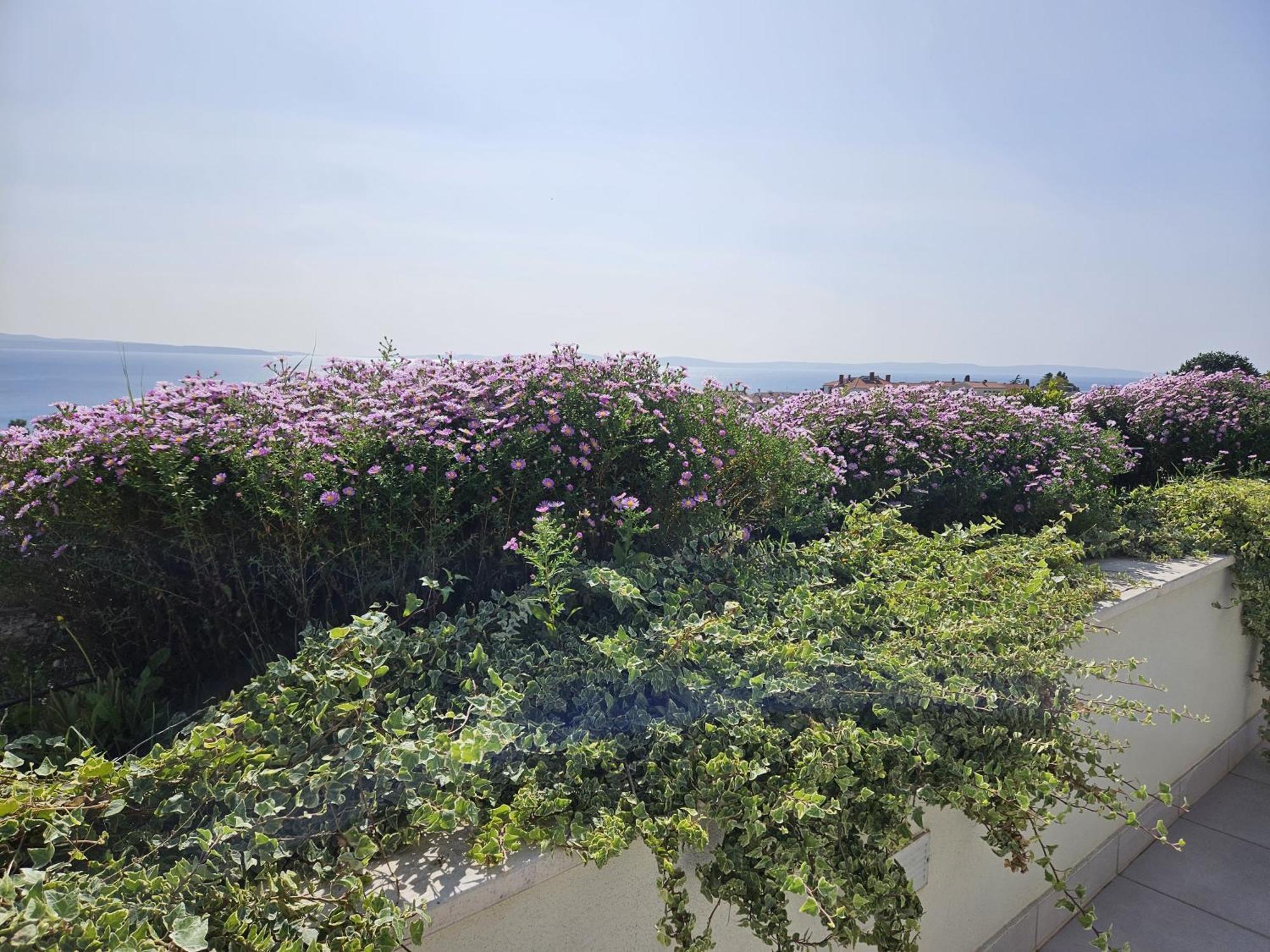 Tajla Rooms สปลิท ภายนอก รูปภาพ